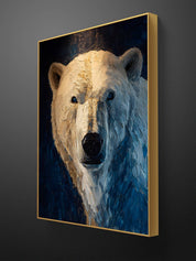 Arctic Eyes