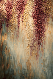 Cascading Bloom