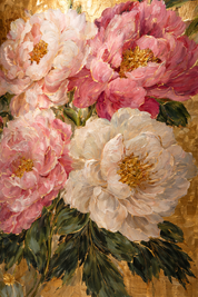 Morning Peonies